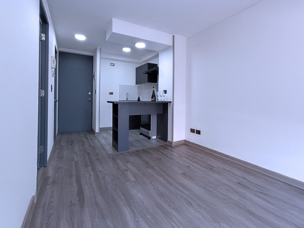 Galeria